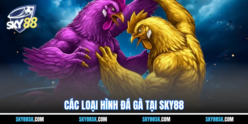 Các loại hình đá gà tại Sky88