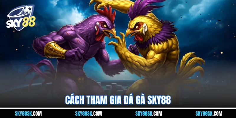 Cách tham gia đá gà Sky88