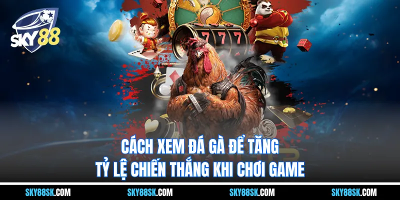 Cách xem đá gà để tăng tỷ lệ chiến thắng khi chơi game