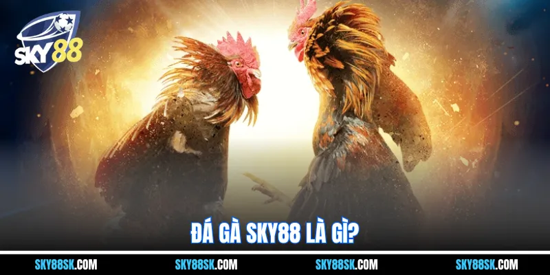 Đá gà Sky88 là gì?