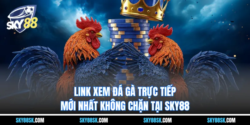Đá gà trực tiếp