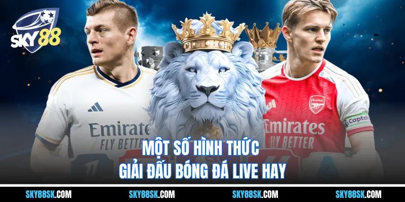 Một số hình thức giải đấu bóng đá live hay