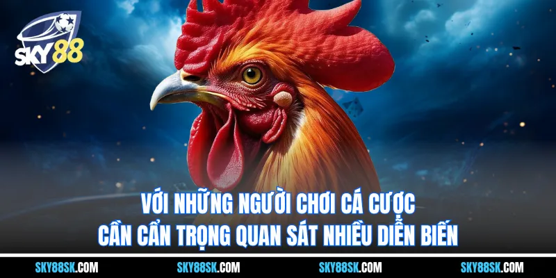 Với những người chơi cá cược, cần cẩn trọng quan sát nhiều diễn biến
